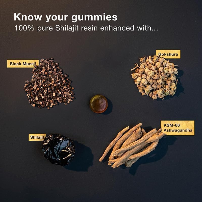 Phormacore™ - Pure Himalayan Shilajit Gold Gummies